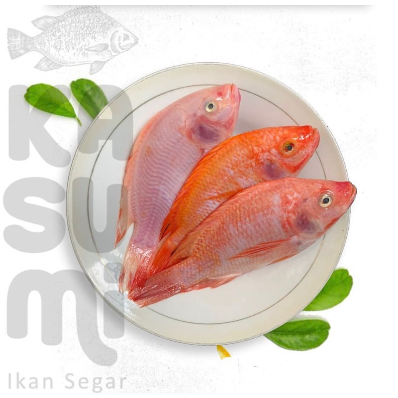 

IKAN NILA FRESH