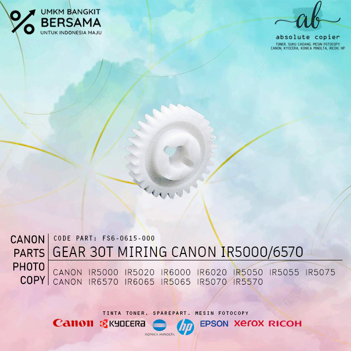 Gear 30T Developing Canon IR 5000 6000 5020 6020 5570 5050 5055 5075 6570 6065 5070 5066 FS6-0615-00