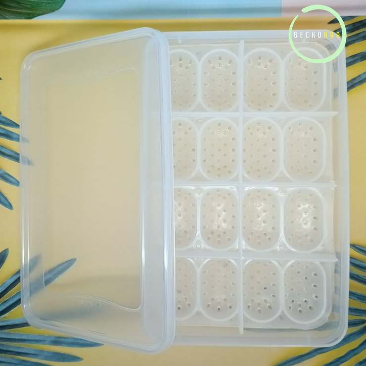Inkubator Telur Reptil Gecko 16 Slot