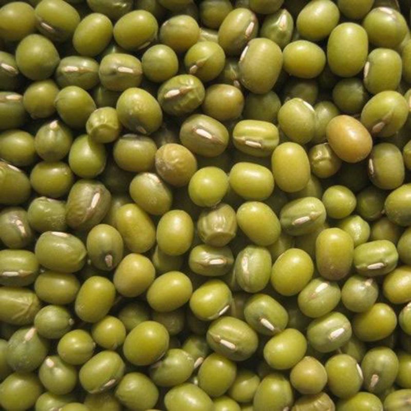 KACANG HIJAU 1 KG
