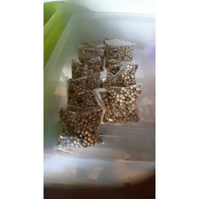

Lada Biji | Rempah-rempah MURAH