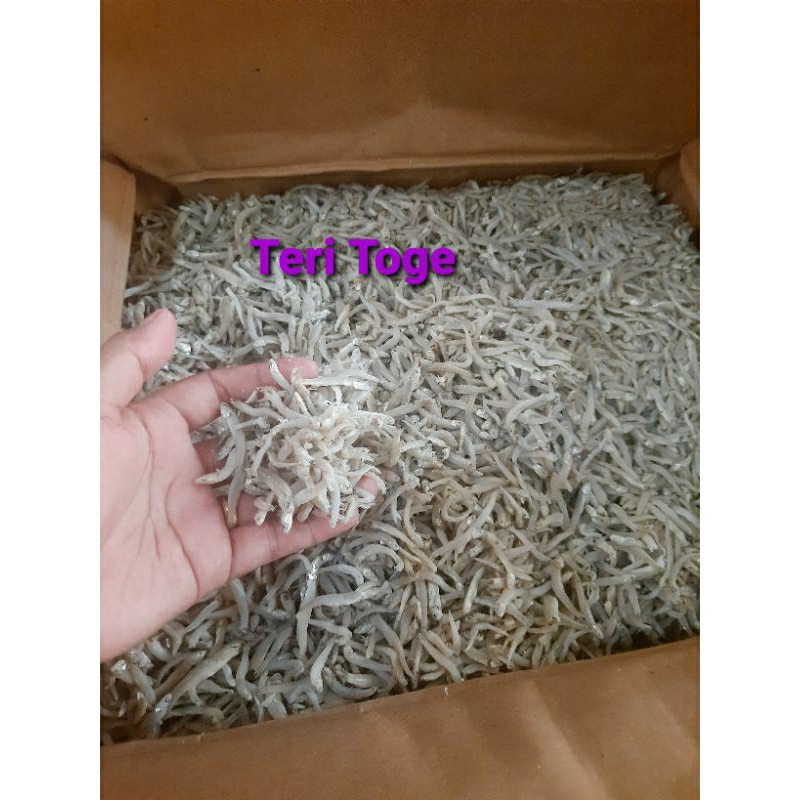 

TERI TOGE MEDAN/250 GRAM