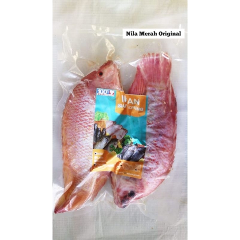 

Ikan Nila Bangkok Original Siap Goreng KPF