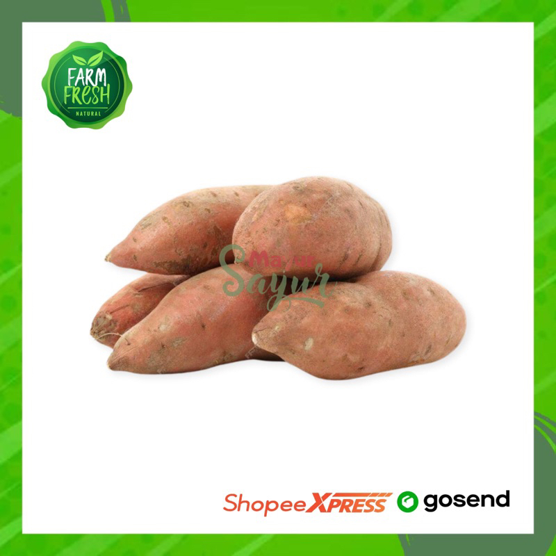 

KIRIM INSTAN Ubi Celembu / Cilembu 1 KG