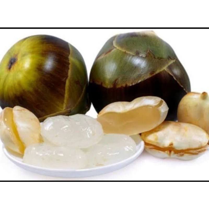 

Buah Lontar Siwalan Kupas fresh isi 10 biji