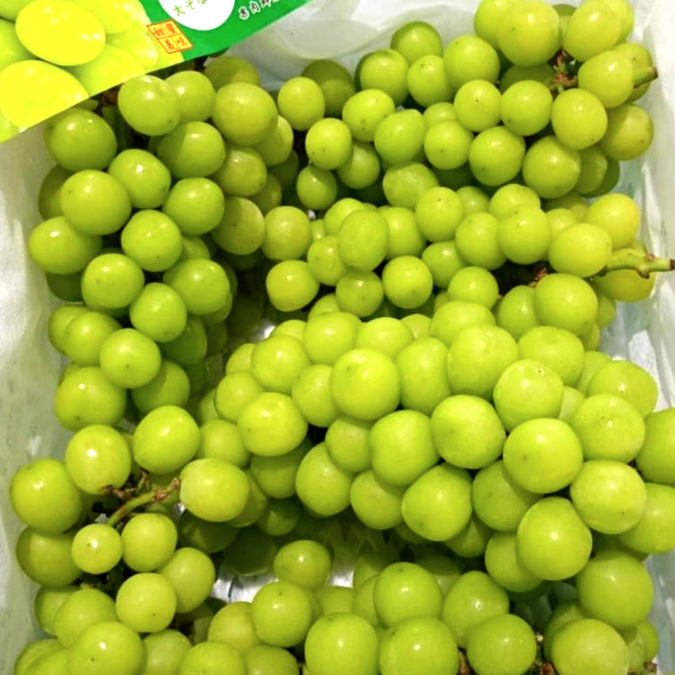 

Anggur Hijau Shine Muscat Seedless 400g