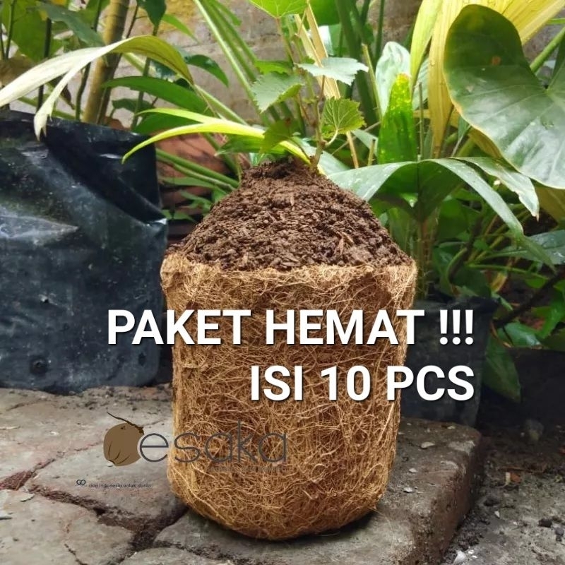PAKET HEMAT ISI 10 PCS Pot sabut kelapa penyubur akar tanaman by oesaka