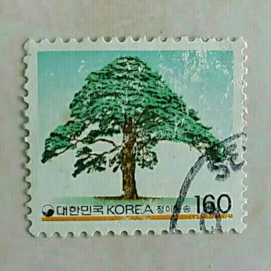 

(AA) Perangko Korea Selatan 1993 Definitives (1993-98) - Pinus koraiensis 160 won Used