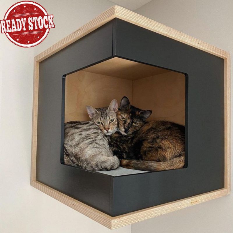 Cat Box | Kotak Kucing | Mainan Kucing | Kandang Kucing