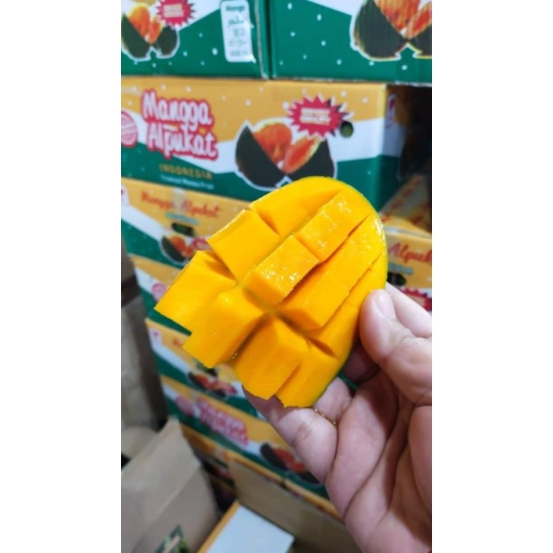 

mangga alpukat