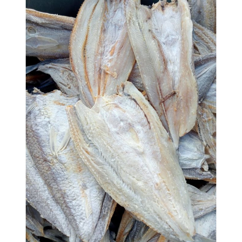 

Ikan asin belahan 1 kg