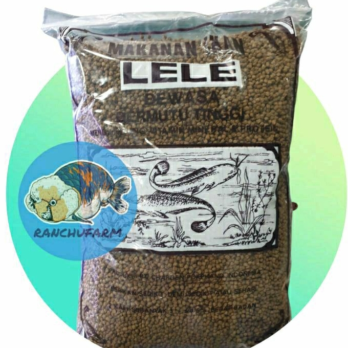 Makanan Ikan Lele Mengandung Vitamin Dan Protein Bermutu Tinggi Pakan