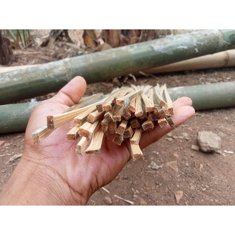 20 Batang Bahan Arku Layangan Bambu Petung Belum di Serut 57cm
