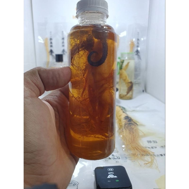 Ginseng PREMlUM Fres Import Asli + Madu Murni + Kuda Laut (Botol 250ml)