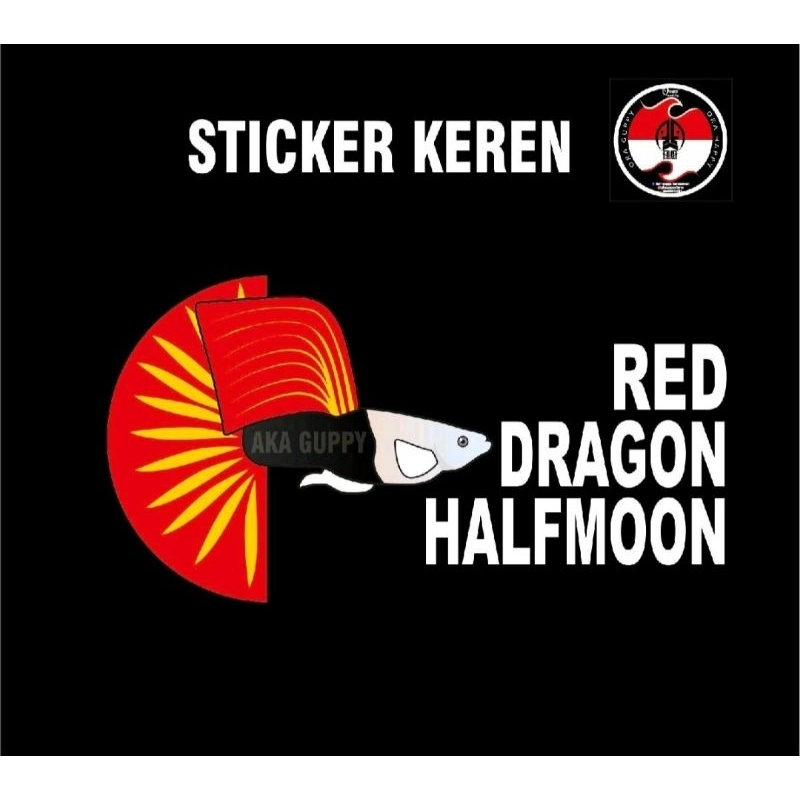 Sticker Keren Aquariun (Guppy Red Dragon HM Size Remaja)