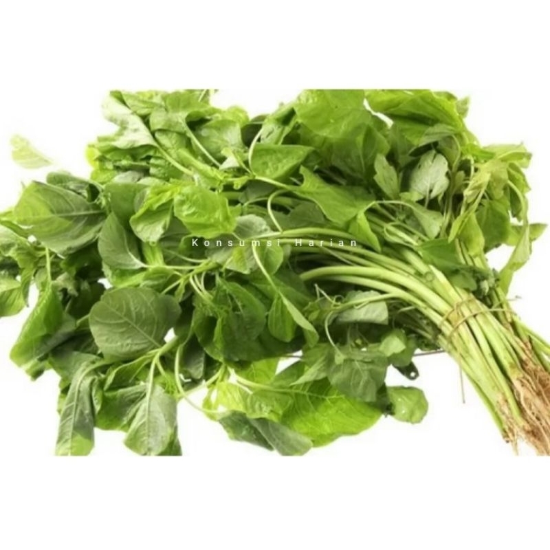 

Bayam / spinach 1 Ikat