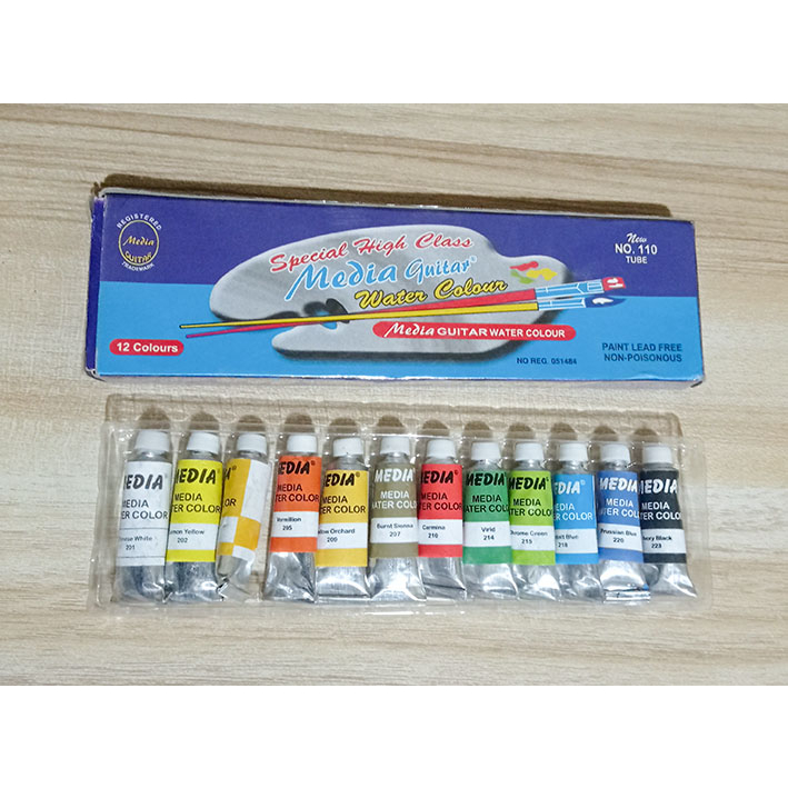 

WATER COLOUR GUITAR no.110