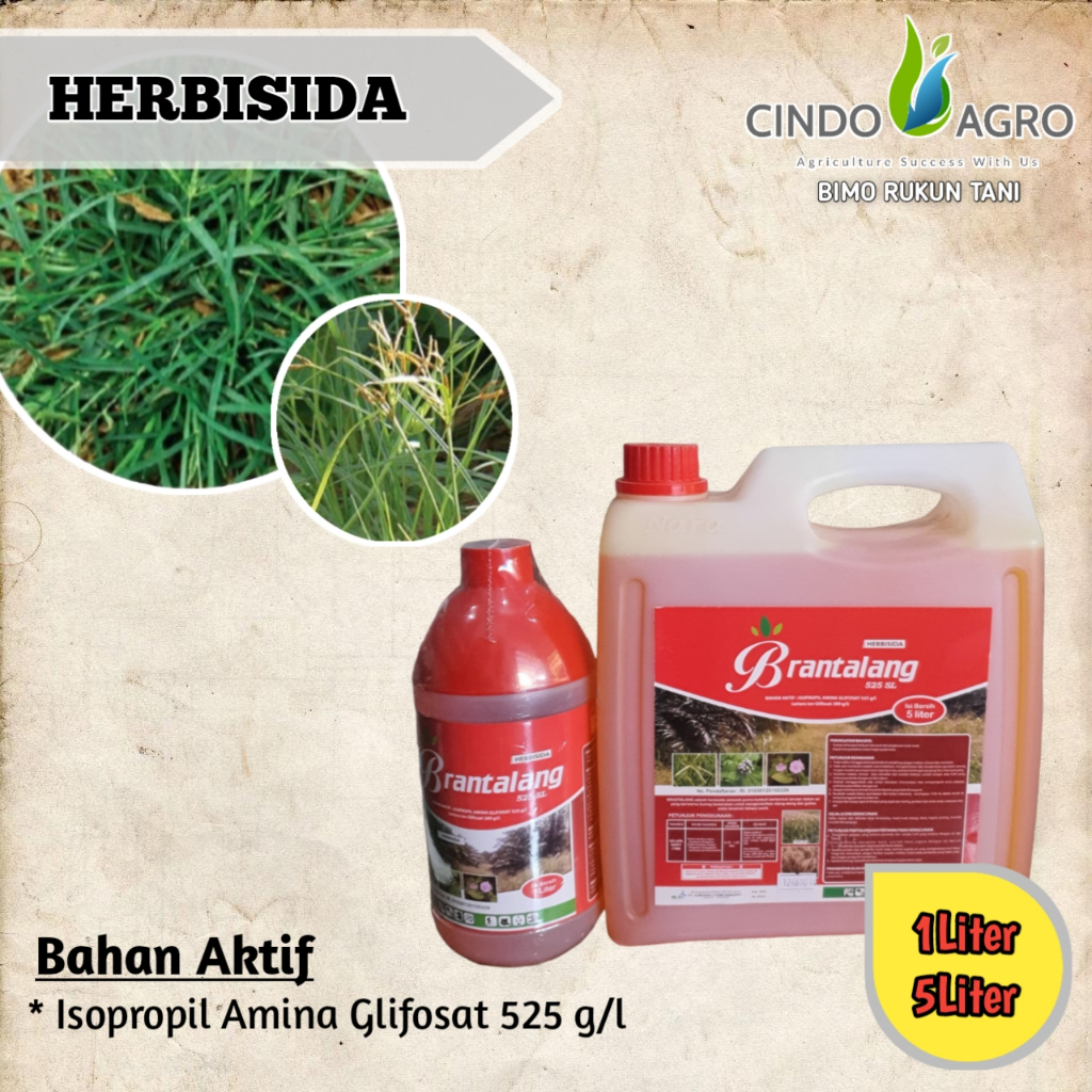 BRANTALANG 525 SL 5 ltr