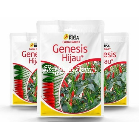 Benih 25 Biji Cabe Rawit GENESIS HIJAU