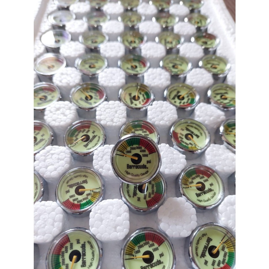 Manometer barracuda 5000 PSI