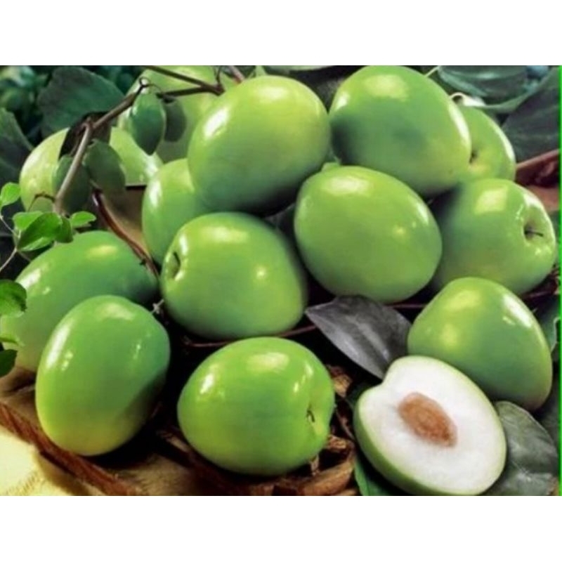 buah apel india segar / buah apel putsa / bekul