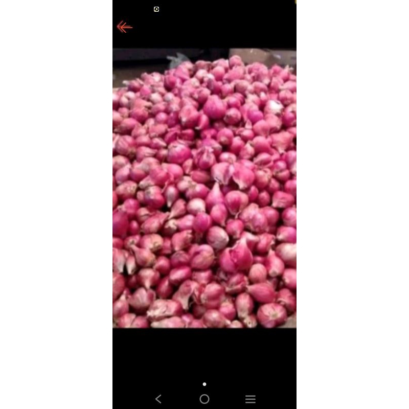 

bawang merah 500gr baturaja oku live