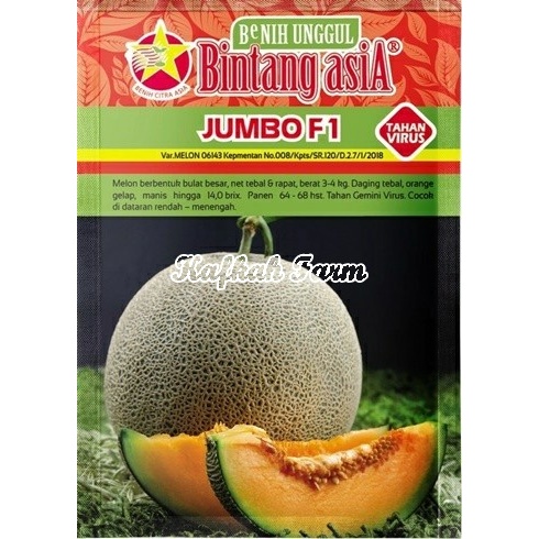 Benih 1 Biji Melon JUMBO F1