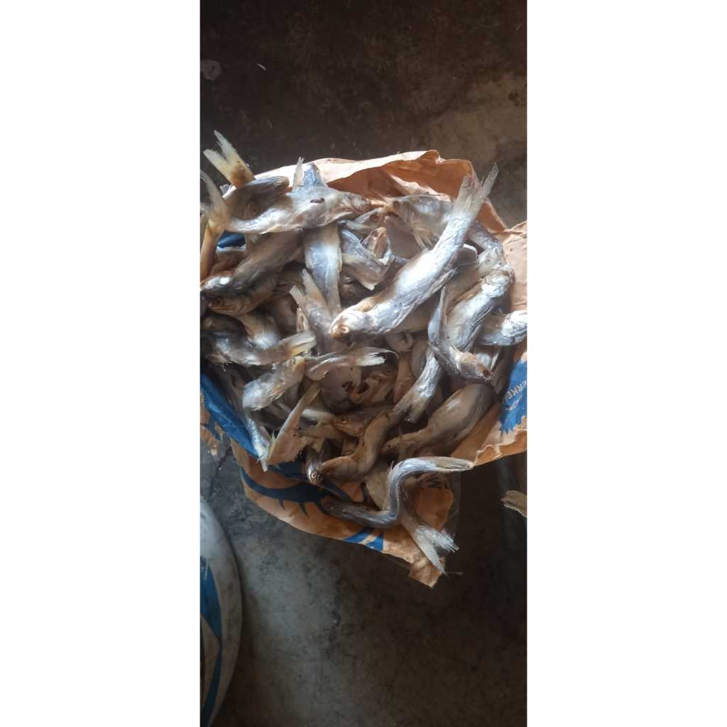 

ikan asin senangin