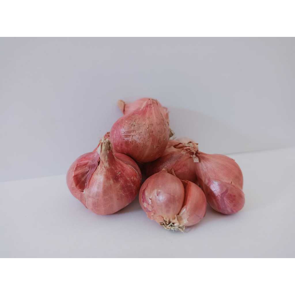 

Bawang Merah