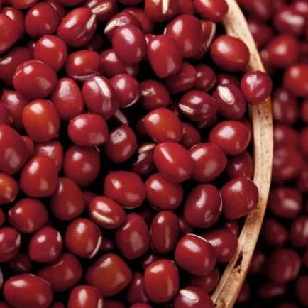 

kacang merah azuki azkusi 500gr adzuki red bean import