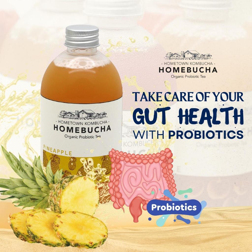 

Homebucha Pineapple