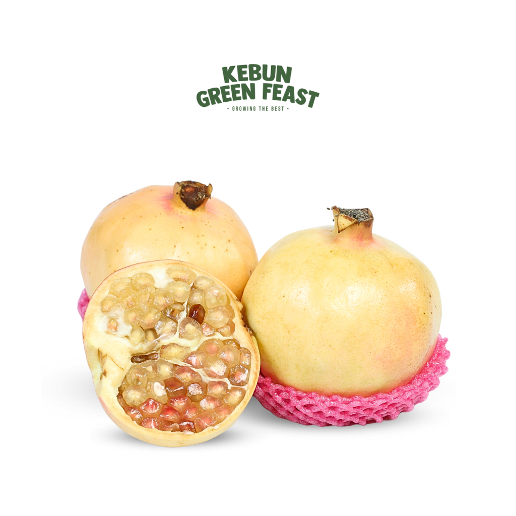 

Buah Delima RRC - Import