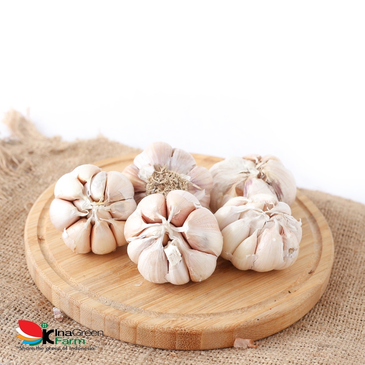 

Terlaris Inagreen Farm Bandung Bawang Putih 250 Gram