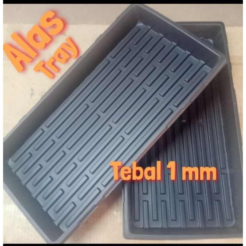 Alas Tray Semai Tebal 1mm Wadah Potray Seedling Tray Original