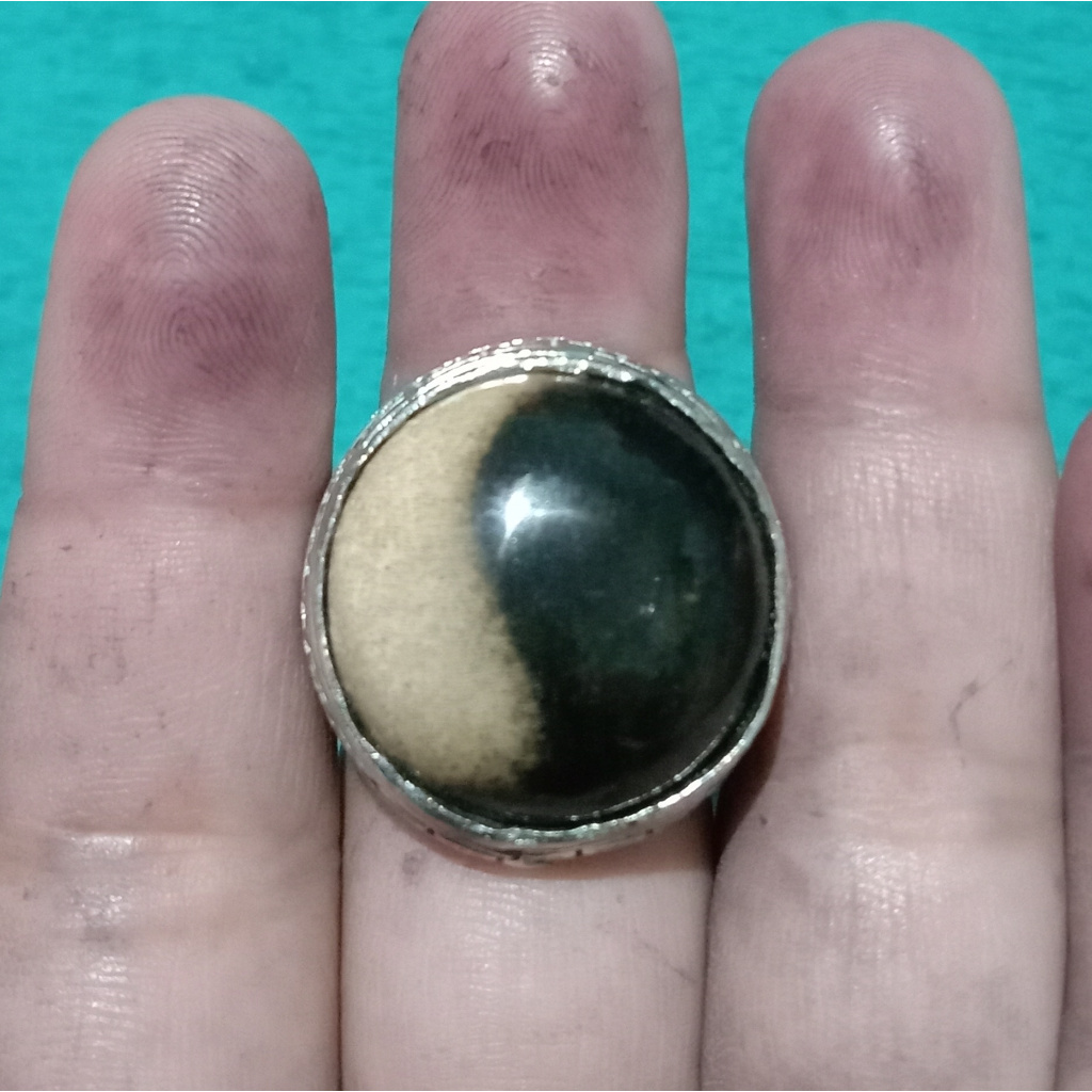 Cincin Batu Akik Galih Kelor Motif Yin Yang Asli Natural