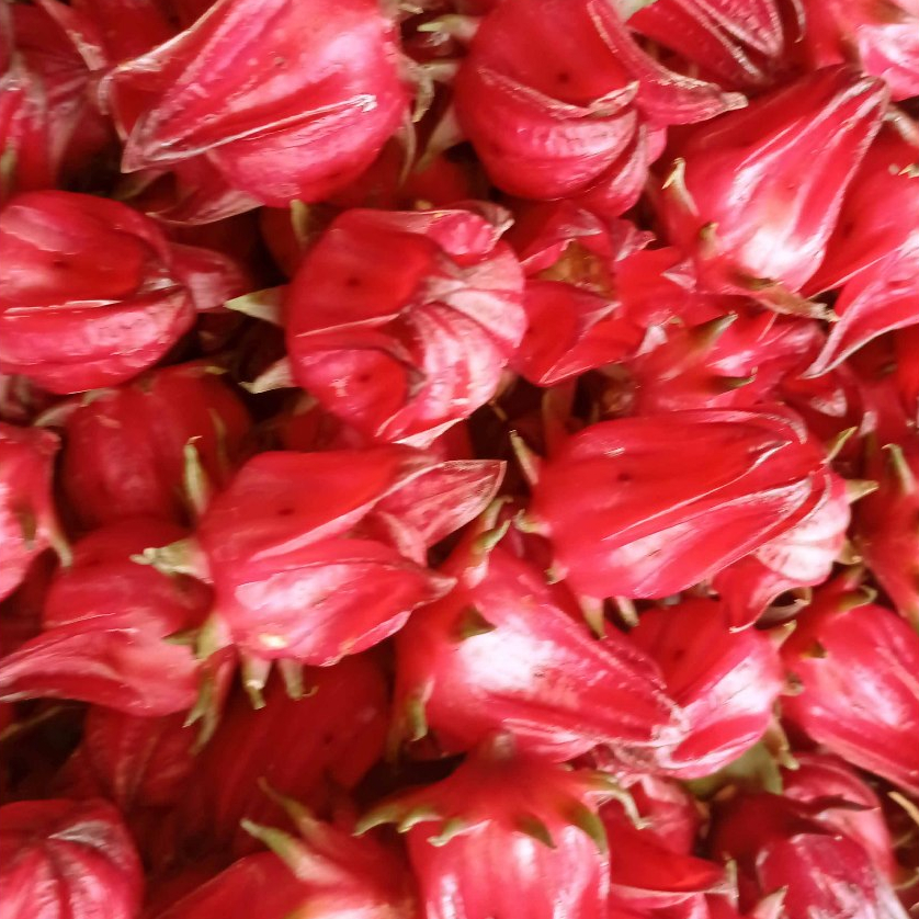 

ROSELA MERAH 1KG SEGAR LANGSUNG PETIK