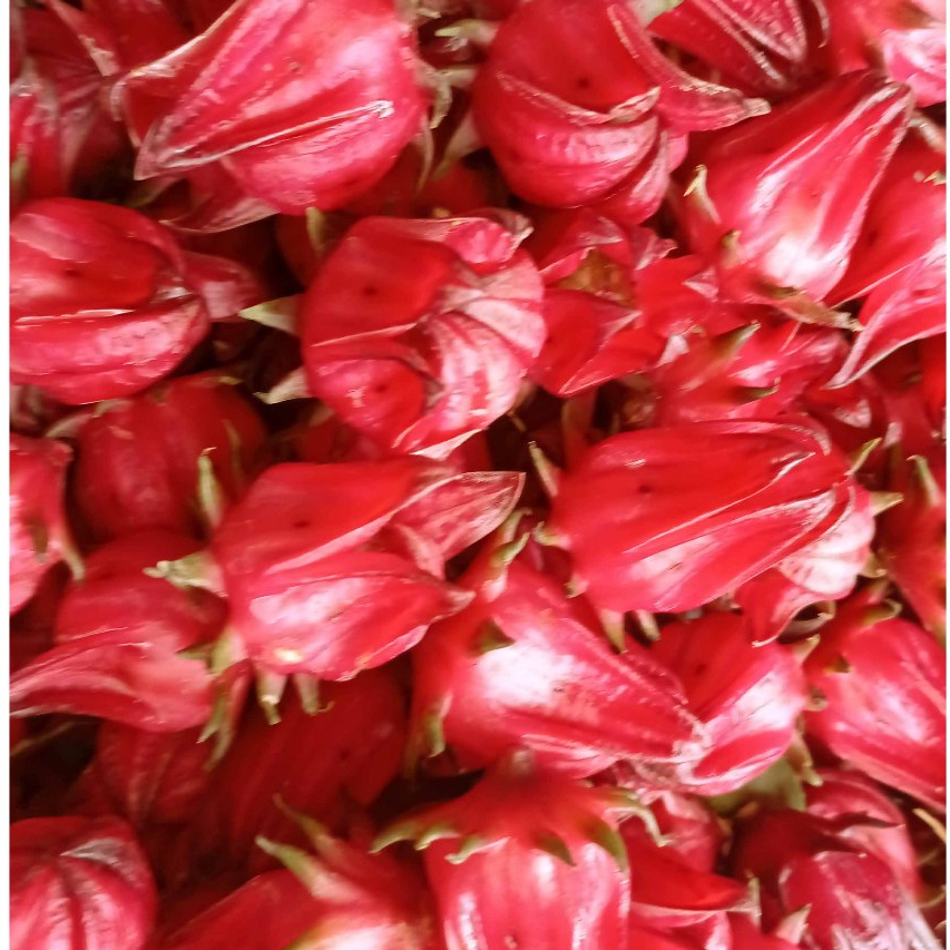 

ROSELA MERAH 500 GRAM LANSUNG PETIK DARI KEBUN