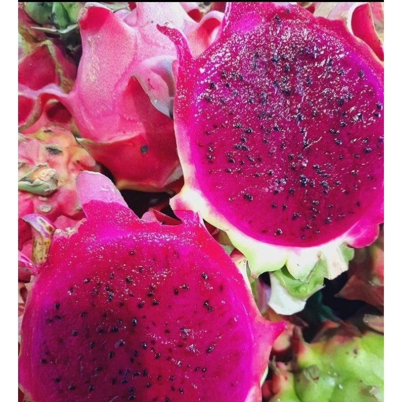 

1kg BUAH NAGA