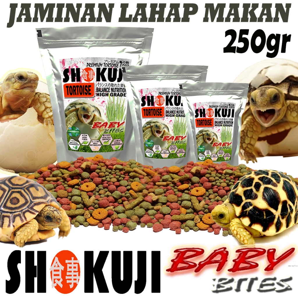 250GR MAKANAN TORTOISE FOOD KURA DARAT BAYI PELLETS SMALL BABY BITES SULCATA PARDALIS ALDABRA YNIPHO