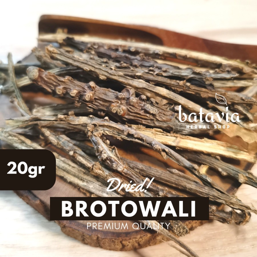 

Brotowali Kering Slice Panjang Premium Herbs Time - 20gr