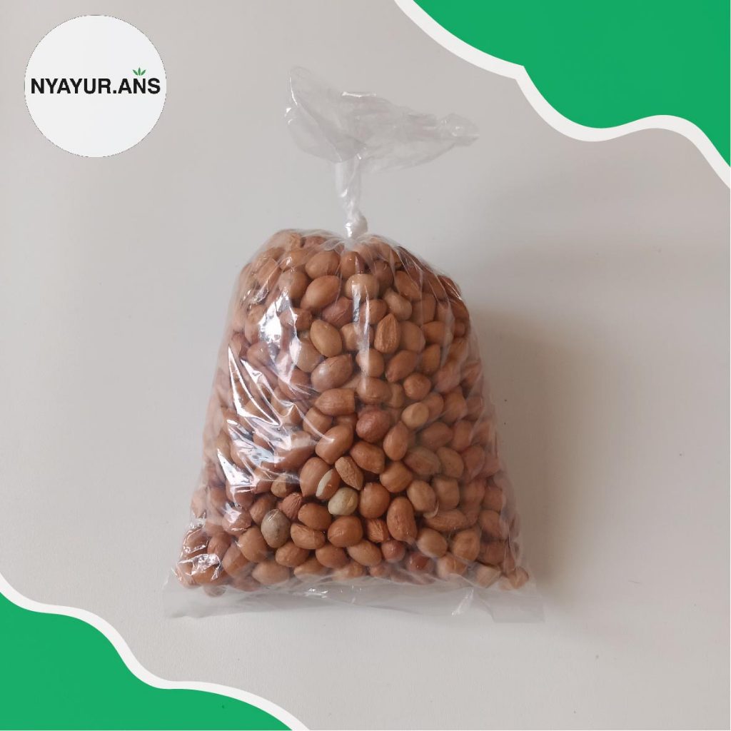 

Kacang tanah Besar 250 Gram - Nyanyur.ans