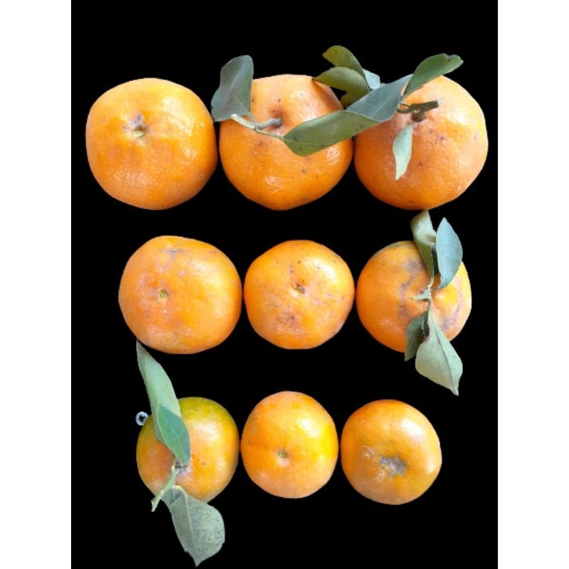 

Jeruk Siam Madu Batu Malang - 1kg