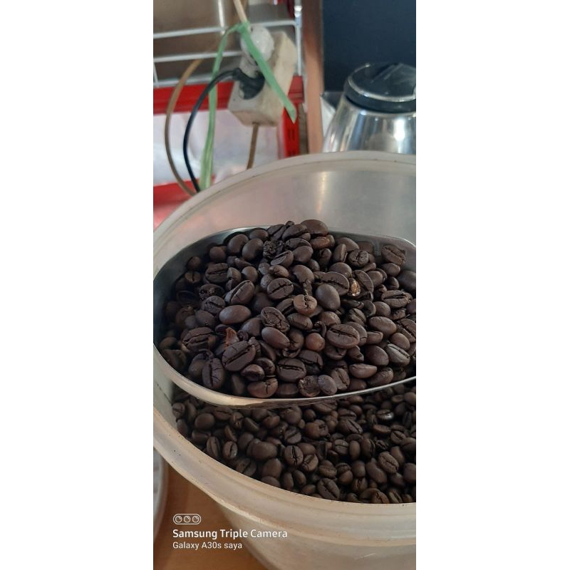 

roastbean robusta dampit