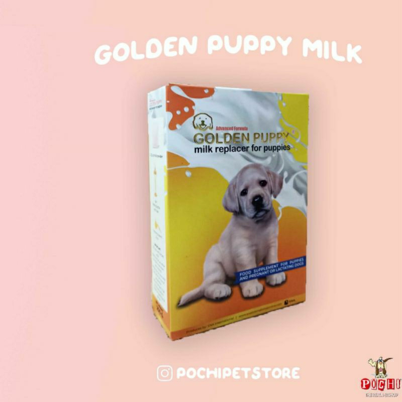Golden Puppy Susu Anak Anjing