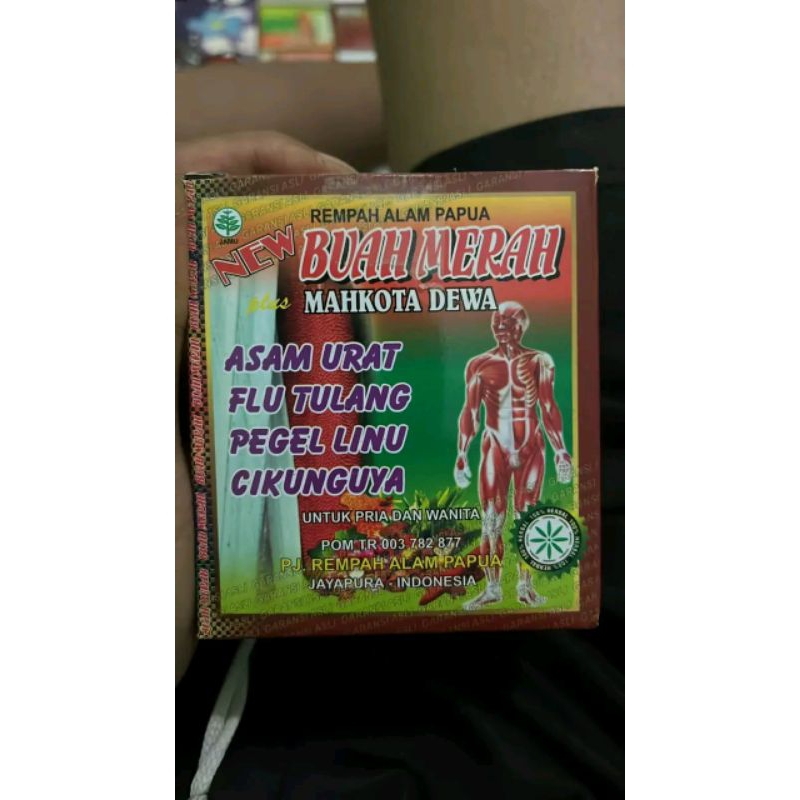 Buah merah papua asli herbal kesehatan asam urat reumatik