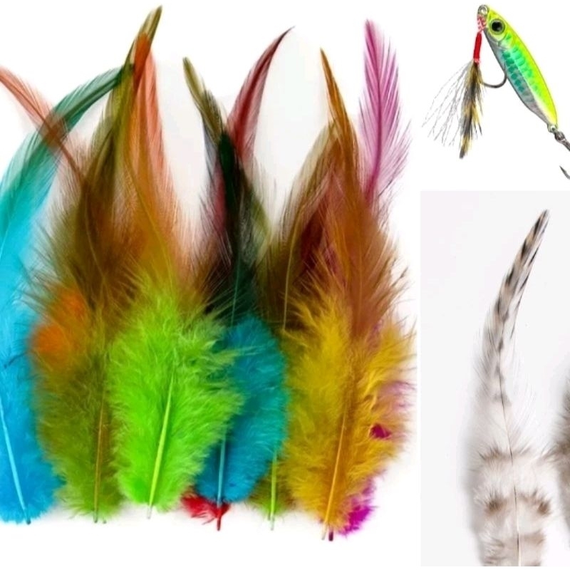 Bulu ayam umpan pancing bulu ayam umpan ikan umpan tenggiri umpan rewel umpan kontekan umpan lanjut 