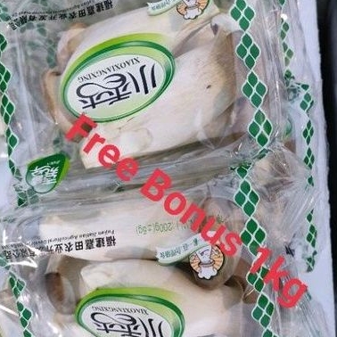 

Jamur King Oyster uk 200gr + Gratis Bonus 1 kg