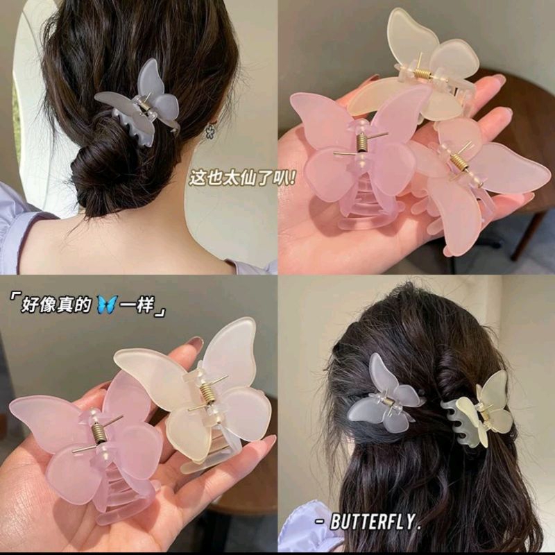 Jedai rambut kupu-kupu|jedai Korea