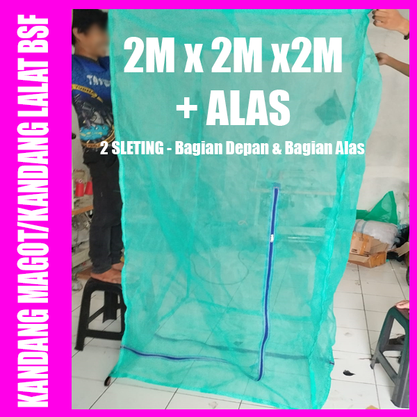 Kandang Magot atau kandang lalat bsf untuk budidaya lalat bsf siap pakai ukuran 2x2x2