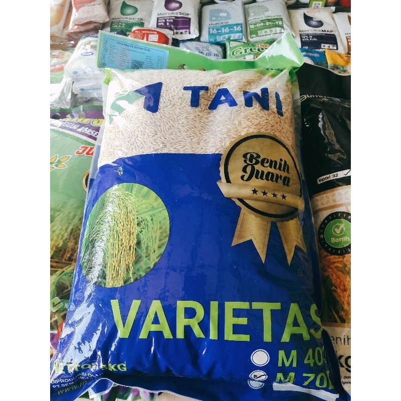 BENIH PADI INPARI 32 / IR 64 / M70 JUMBO DAN PLATINUM 5KG